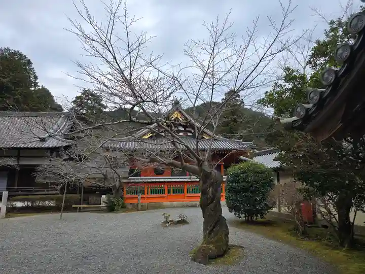 毘沙門堂門跡(京都府)