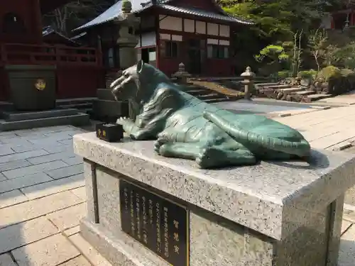 金剛證寺の狛犬