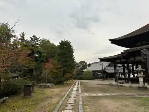 法界寺(日野薬師)の建物その他