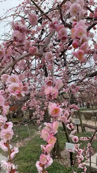 防府天満宮の自然