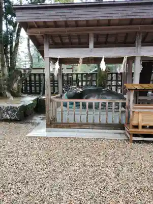 出雲大社(島根県)