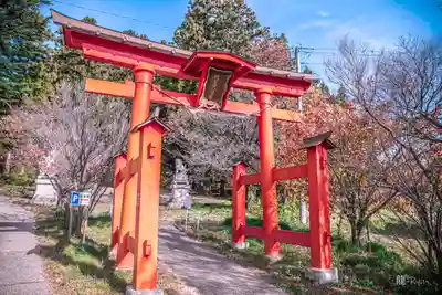 蚊里田八幡宮(長野県)