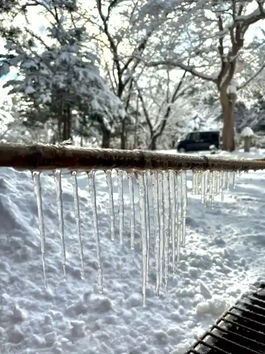蚊里田八幡宮の{uncategorized: "未分類", other: "その他", undefined: "問題あり", building: "その他建物", grave: "お墓", sacred_gate: "鳥居", guardian: "狛犬", statue: "像", buddha: "仏像", history: "歴史", nature: "自然", garden: "庭園", animal: "動物", pagoda: "塔", temizu: "手水舎", mountain_gate: "山門・神門", sanctuary: "本殿・本堂", subordinate: "末社・摂社", art: "芸術", scenery: "景色", jizo: "地蔵", ema: "絵馬", goshuin: "御朱印", omikuji: "おみくじ", items: "授与品その他", amulet: "お守り", goshuincho: "御朱印帳", eats: "食事", festival: "お祭り", votive_dance: "神楽", shichigosan: "七五三参", wedding: "結婚式", experience: "体験その他", initially: "初詣", around: "周辺", anti_infection: "感染症対策"}