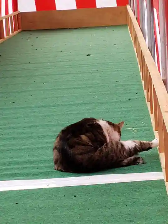 荻窪白山神社の動物