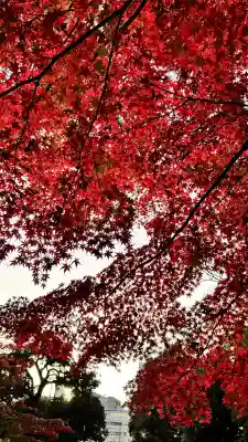 【閉業】小石川大神宮(東京都)