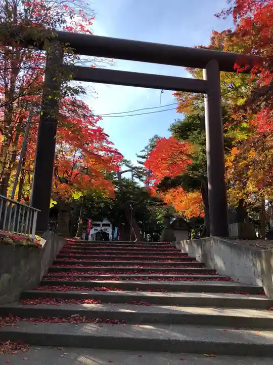 北広島市総鎮守 廣島神社の鳥居