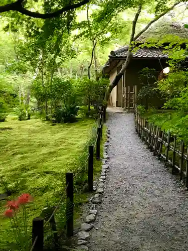 祇王寺の庭園