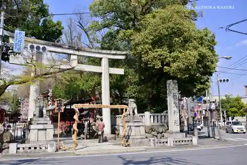 秩父神社の鳥居