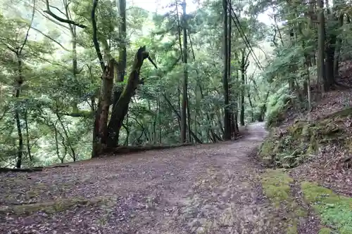 醍醐寺（上醍醐）の自然