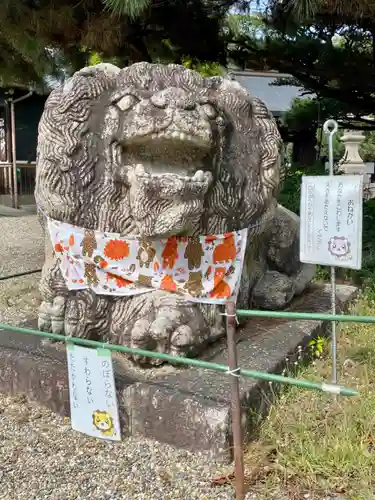 京都乃木神社の狛犬