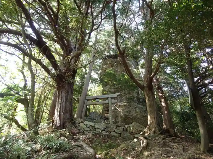 立岩神社(山方比古神社境内社)の自然