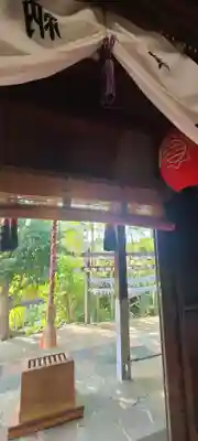 緑と光がキレイ✨