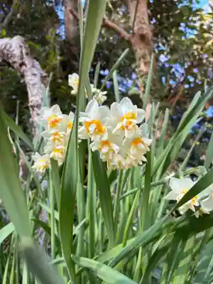 川口神社(千葉県)