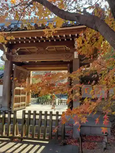高円寺の山門・神門