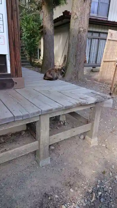 三峯神社の動物
