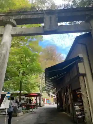金櫻神社(山梨県)