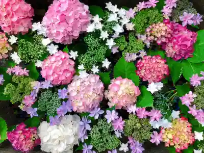 東海市熊野神社の手水舎