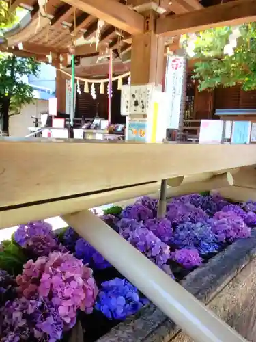 鳩森八幡神社の手水舎