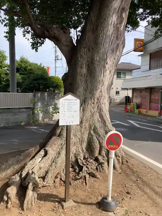八坂神社(茨城県)