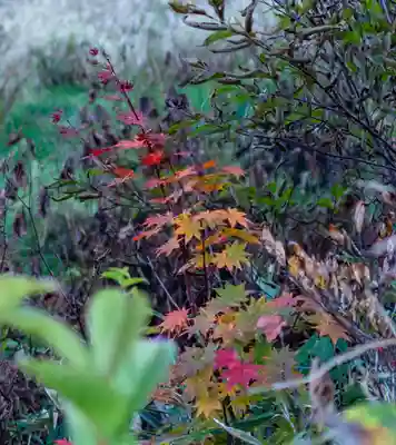 飯森神社奥社(長野県)