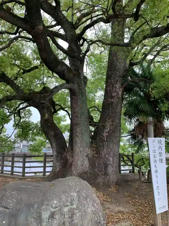 照明寺 (反町薬師尊)(群馬県)
