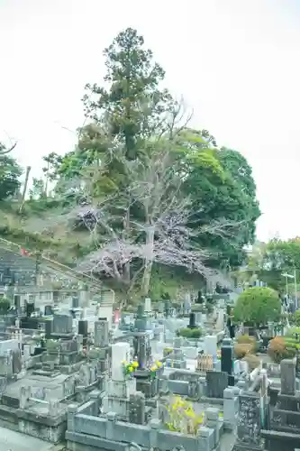 正安寺(神奈川県)