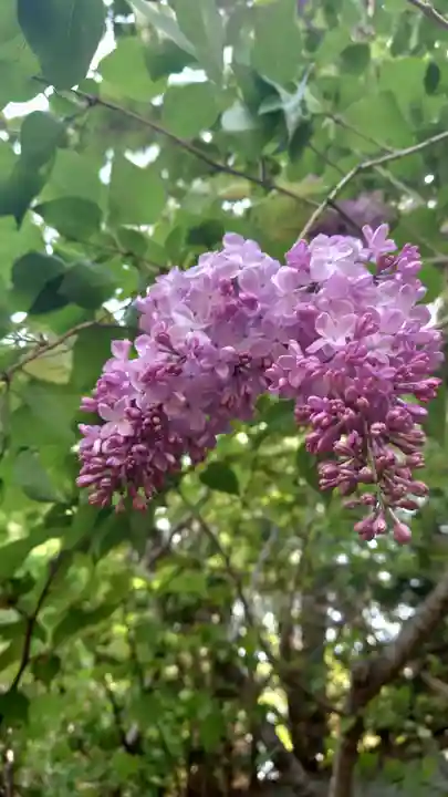 相馬神社(北海道)