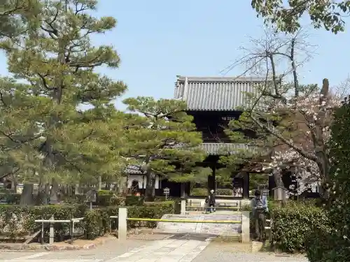 建仁寺（建仁禅寺）の{uncategorized: "未分類", other: "その他", undefined: "問題あり", building: "その他建物", grave: "お墓", sacred_gate: "鳥居", guardian: "狛犬", statue: "像", buddha: "仏像", history: "歴史", nature: "自然", garden: "庭園", animal: "動物", pagoda: "塔", temizu: "手水舎", mountain_gate: "山門・神門", sanctuary: "本殿・本堂", subordinate: "末社・摂社", art: "芸術", scenery: "景色", jizo: "地蔵", ema: "絵馬", goshuin: "御朱印", omikuji: "おみくじ", items: "授与品その他", amulet: "お守り", goshuincho: "御朱印帳", eats: "食事", festival: "お祭り", votive_dance: "神楽", shichigosan: "七五三参", wedding: "結婚式", experience: "体験その他", initially: "初詣", around: "周辺", anti_infection: "感染症対策"}