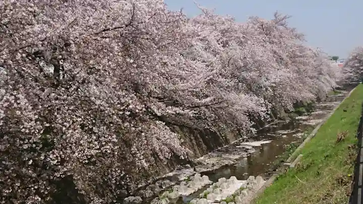 武蔵野坐令和神社の周辺
