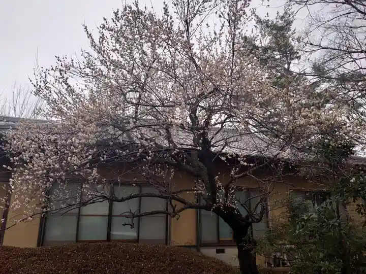 宥勝寺のその他建物