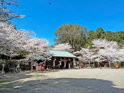 小津神社の建物その他