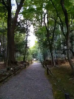 地蔵院(京都府)