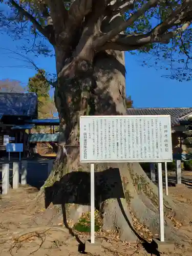 小泉神社の歴史