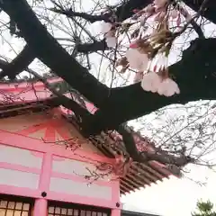 神明社（草部神明社）の本殿