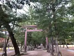 出雲大社(島根県)