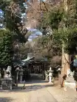 岩槻久伊豆神社の狛犬