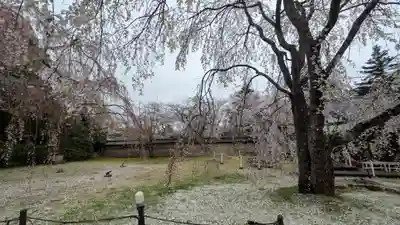 醍醐寺(京都府)