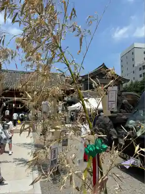 浅草神社のお祭り