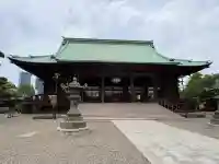 護国寺の{uncategorized: "未分類", other: "その他", undefined: "問題あり", building: "その他建物", grave: "お墓", sacred_gate: "鳥居", guardian: "狛犬", statue: "像", buddha: "仏像", history: "歴史", nature: "自然", garden: "庭園", animal: "動物", pagoda: "塔", temizu: "手水舎", mountain_gate: "山門・神門", sanctuary: "本殿・本堂", subordinate: "末社・摂社", art: "芸術", scenery: "景色", jizo: "地蔵", ema: "絵馬", goshuin: "御朱印", omikuji: "おみくじ", items: "授与品その他", amulet: "お守り", goshuincho: "御朱印帳", eats: "食事", festival: "お祭り", votive_dance: "神楽", shichigosan: "七五三参", wedding: "結婚式", experience: "体験その他", initially: "初詣", around: "周辺", anti_infection: "感染症対策"}