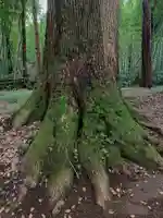 太神宮(千葉県)