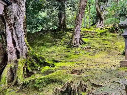 須部神社(福井県)