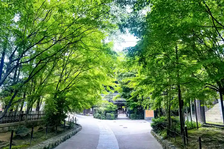 宇治上神社(京都府)