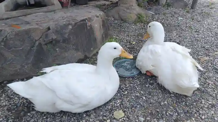神泉苑(京都府)