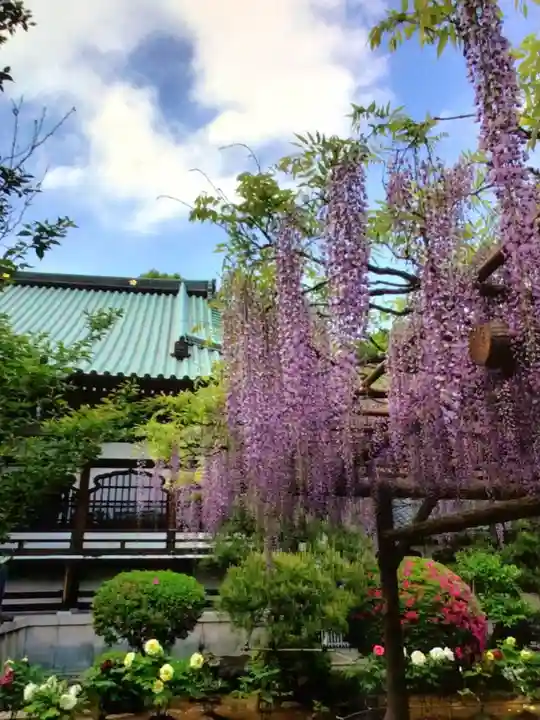 愛染院(東京都)