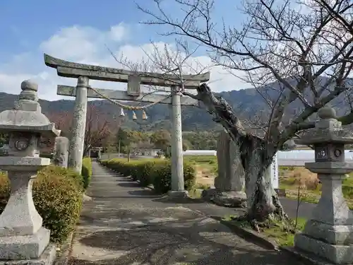 春日神社の鳥居