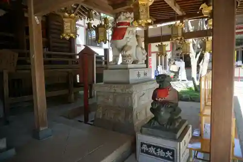 大宝八幡宮の狛犬