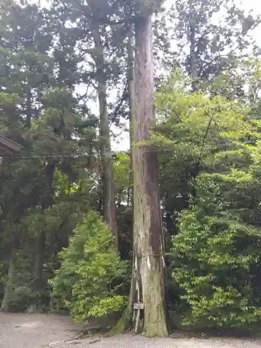 八所神社(滋賀県)