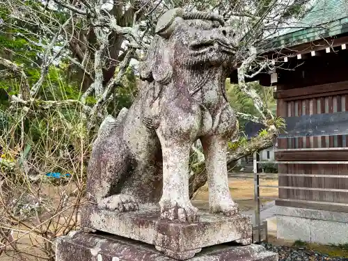 乃木神社の狛犬