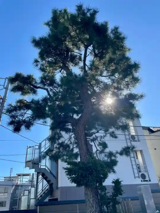 本納寺の{uncategorized: "未分類", other: "その他", undefined: "問題あり", building: "その他建物", grave: "お墓", sacred_gate: "鳥居", guardian: "狛犬", statue: "像", buddha: "仏像", history: "歴史", nature: "自然", garden: "庭園", animal: "動物", pagoda: "塔", temizu: "手水舎", mountain_gate: "山門・神門", sanctuary: "本殿・本堂", subordinate: "末社・摂社", art: "芸術", scenery: "景色", jizo: "地蔵", ema: "絵馬", goshuin: "御朱印", omikuji: "おみくじ", items: "授与品その他", amulet: "お守り", goshuincho: "御朱印帳", eats: "食事", festival: "お祭り", votive_dance: "神楽", shichigosan: "七五三参", wedding: "結婚式", experience: "体験その他", initially: "初詣", around: "周辺", anti_infection: "感染症対策"}