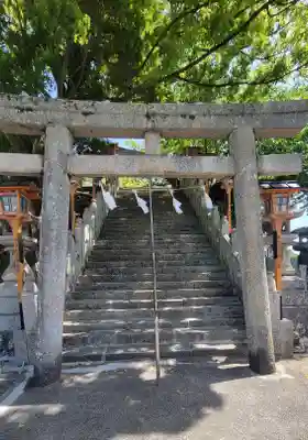 總鎮守八幡神社(愛媛県)